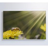 Quadro Abelha 90x60 Cm Tecido Canvas - 6