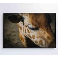 Quadro Girafa 90x60 Cm Tecido Canvas - 2