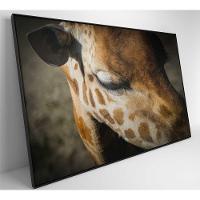 Quadro Girafa 90x60 Cm Tecido Canvas - 5