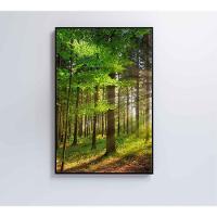 Quadro árvore Verde 2 60x90 Cm Tecido Canvas - 5