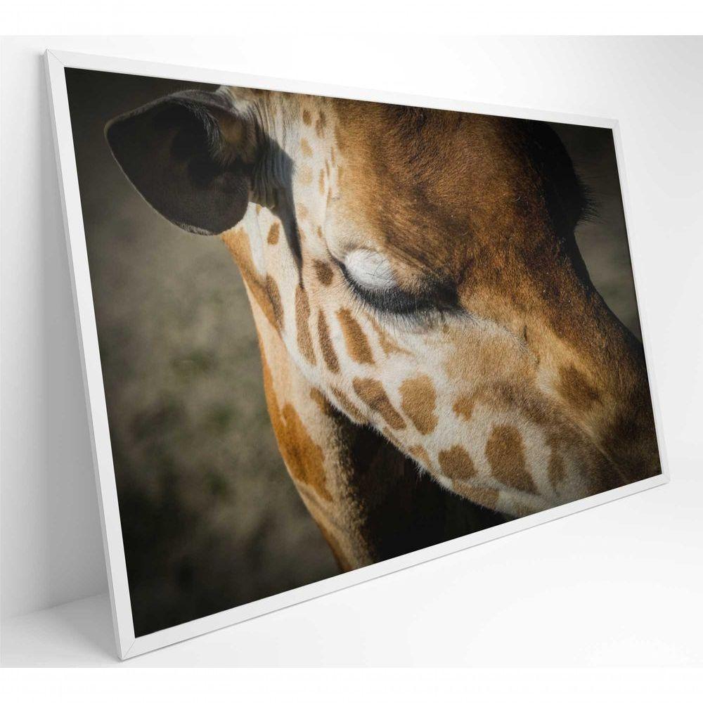 Quadro Girafa 120x80 Cm Adesivo Fotográfico - 8
