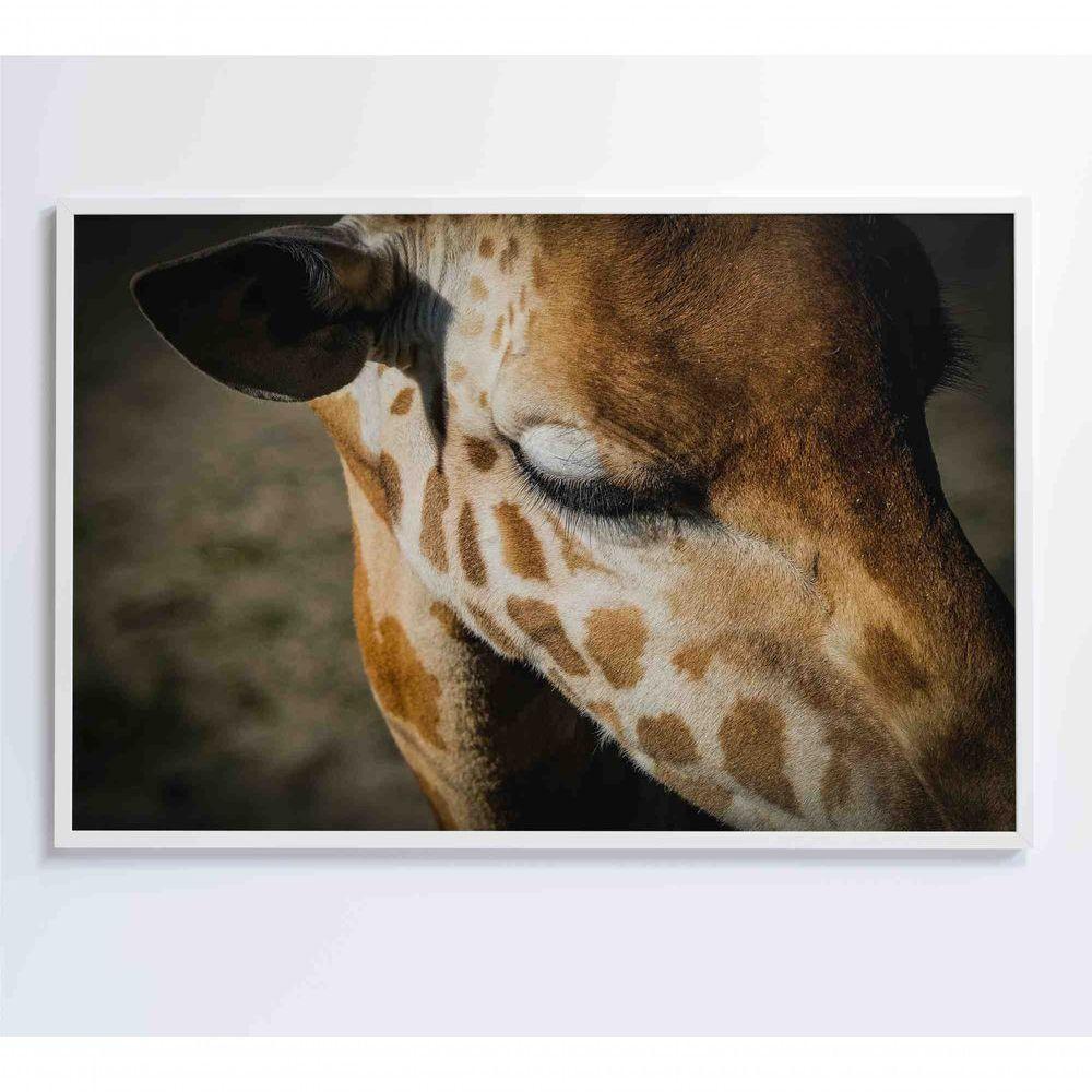 Quadro Girafa 60x40 Cm Adesivo Fotográfico - 3