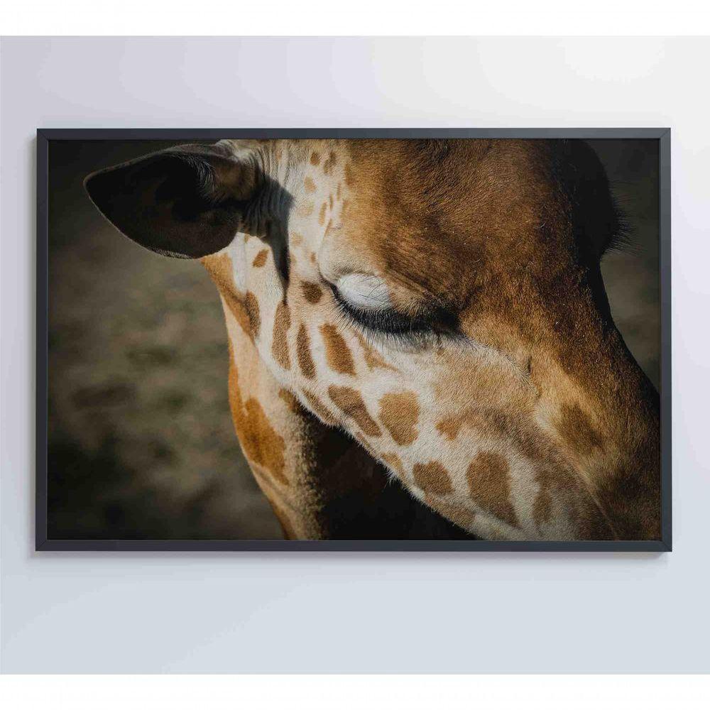 Quadro Girafa 60x40 Cm Adesivo Fotográfico - 4