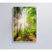 Quadro árvore Verde 1 40x60 Cm Adesivo Fotográfico - 8