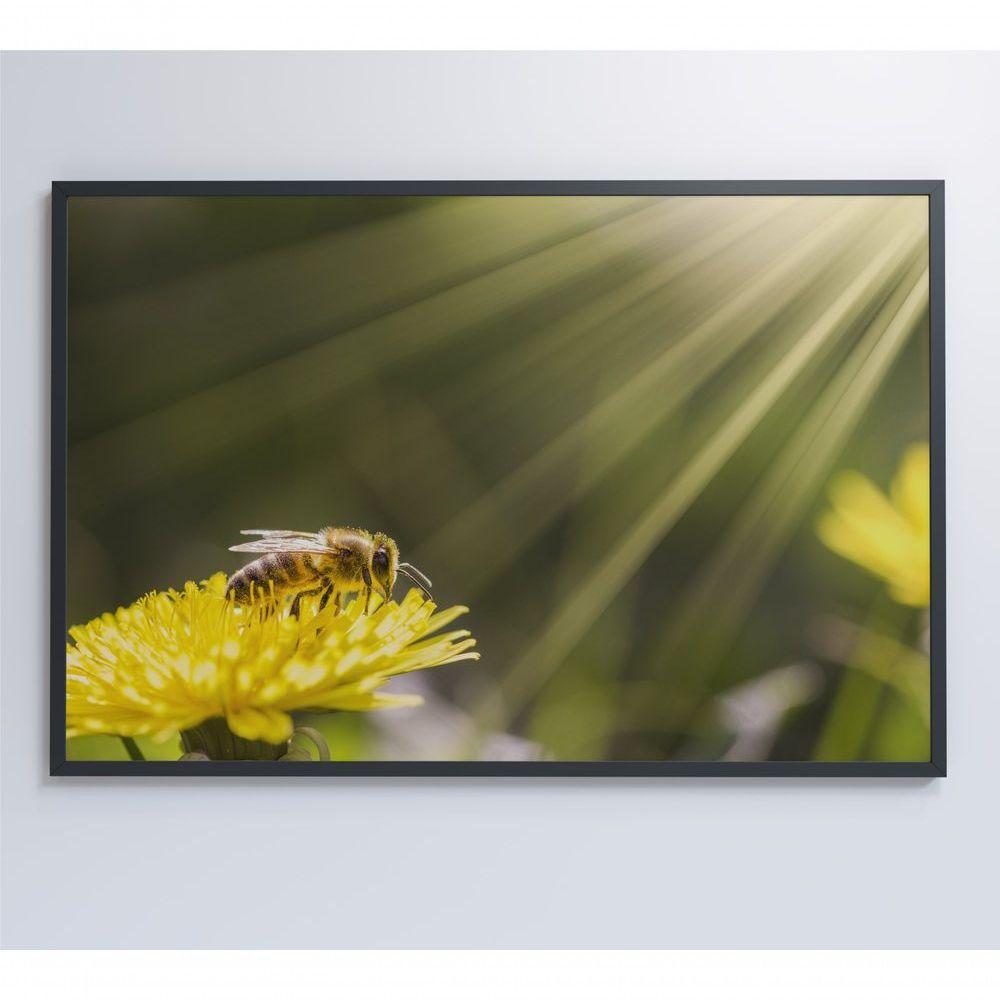 Quadro Abelha 60x40 Cm Adesivo Fotográfico - 5