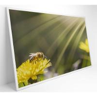 Quadro Abelha 60x40 Cm Adesivo Fotográfico - 16
