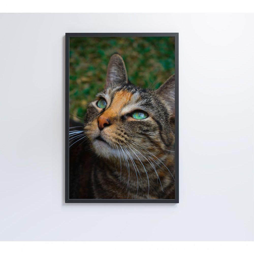 Quadro Gato 40x60 Cm Tecido Canvas - 2