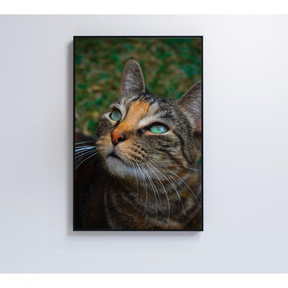 Quadro Gato 40x60 Cm Tecido Canvas - 3