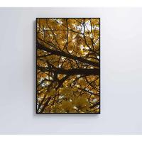 Quadro Flores Ipê Amarelo 2 40x60 Cm Tecido Canvas