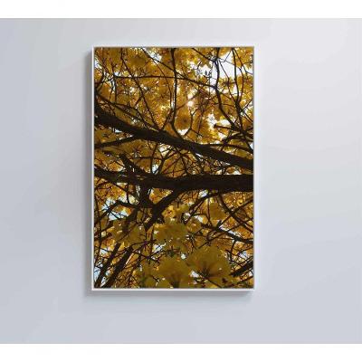 Quadro Flores Ipê Amarelo 2 60x90 Cm Adesivo Fotográfico