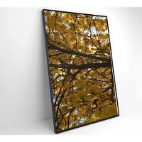 Quadro Flores Ipê Amarelo 2 60x90 Cm Tecido Canvas - 5