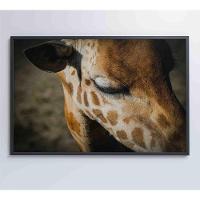Quadro Girafa 60x40 Cm Tecido Canvas - 6