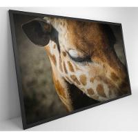 Quadro Girafa 60x40 Cm Tecido Canvas - 12
