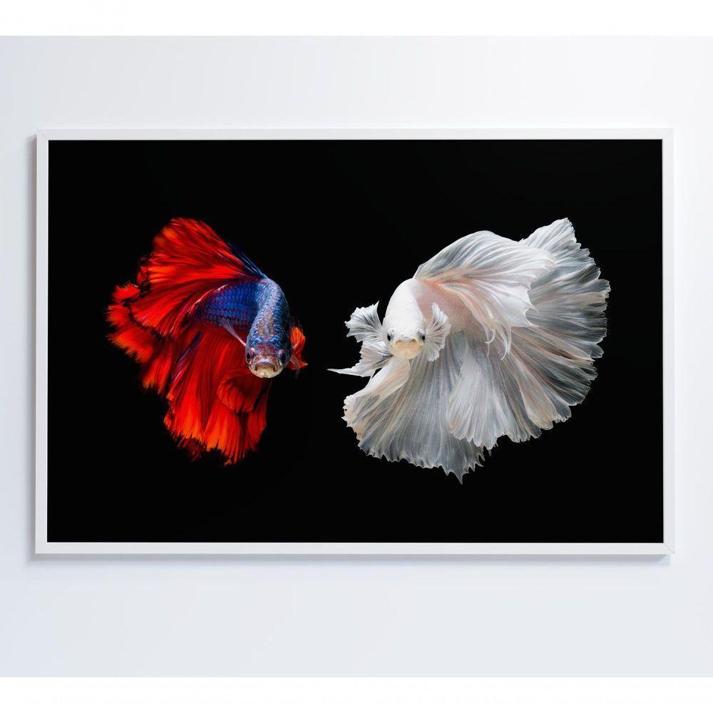 Quadro Peixes Beta 60x40 Cm Tecido Canvas - 1