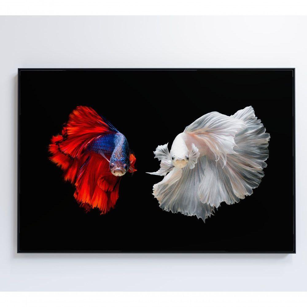 Quadro Peixes Beta 60x40 Cm Tecido Canvas - 2