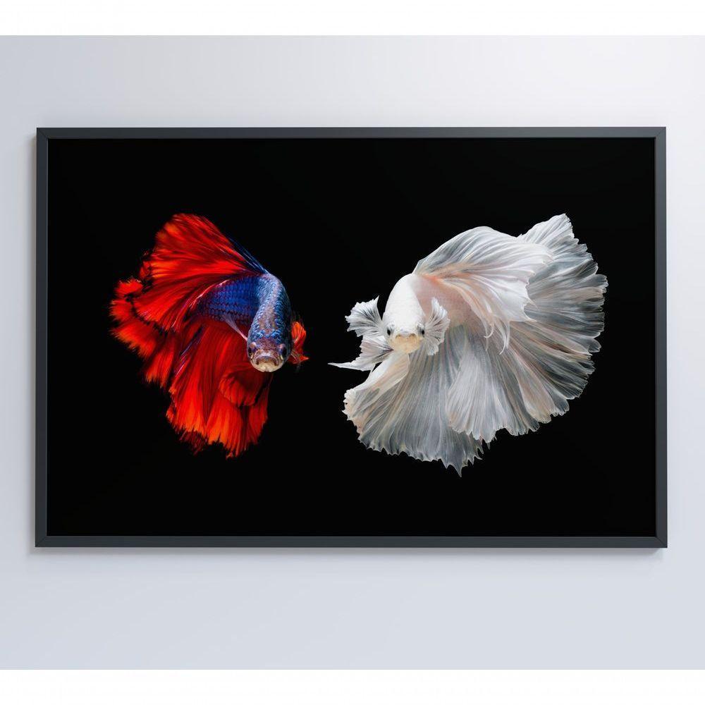 Quadro Peixes Beta 60x40 Cm Tecido Canvas - 4