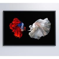 Quadro Peixes Beta 120x80 Cm Tecido Canvas - 7