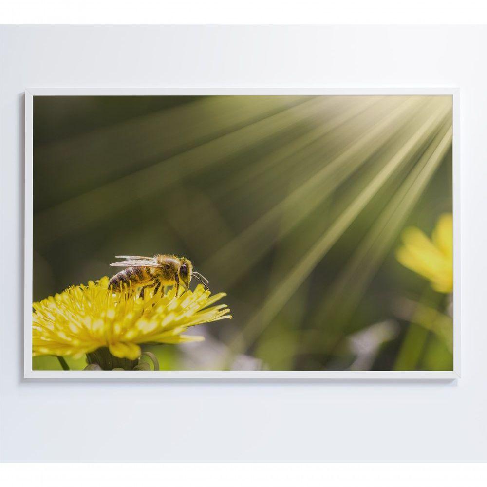 Quadro Abelha 120x80 Cm Vidro Impresso - 2