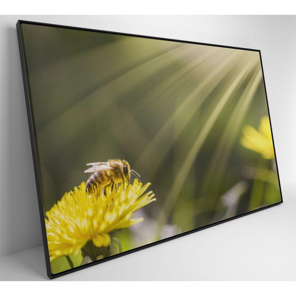 Quadro Abelha 120x80 Cm Vidro Impresso - 4