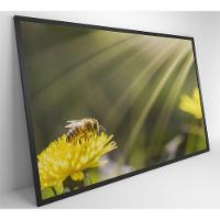 Quadro Abelha 120x80 Cm Vidro Impresso - 15