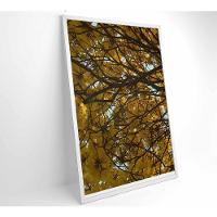 Quadro Flores Ipê Amarelo 60x90 Cm Tecido Canvas - 2