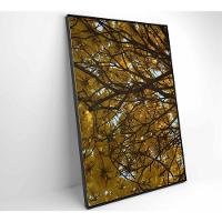 Quadro Flores Ipê Amarelo 60x90 Cm Tecido Canvas - 5