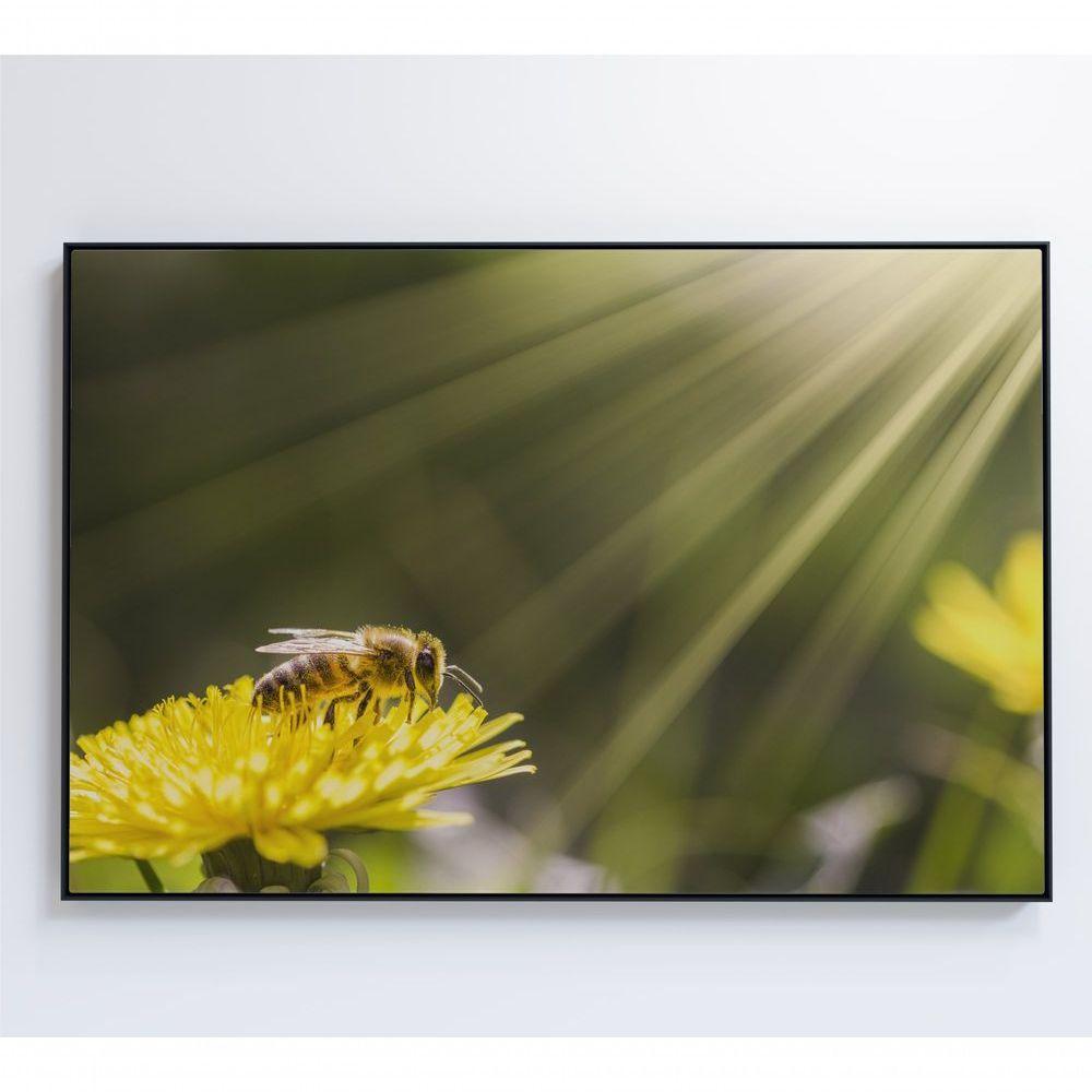 Quadro Abelha 120x80 Cm Tecido Canvas - 2