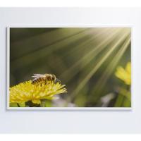 Quadro Abelha 120x80 Cm Tecido Canvas - 16