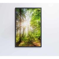 Quadro árvore Verde 1 60x90 Cm Adesivo Fotográfico