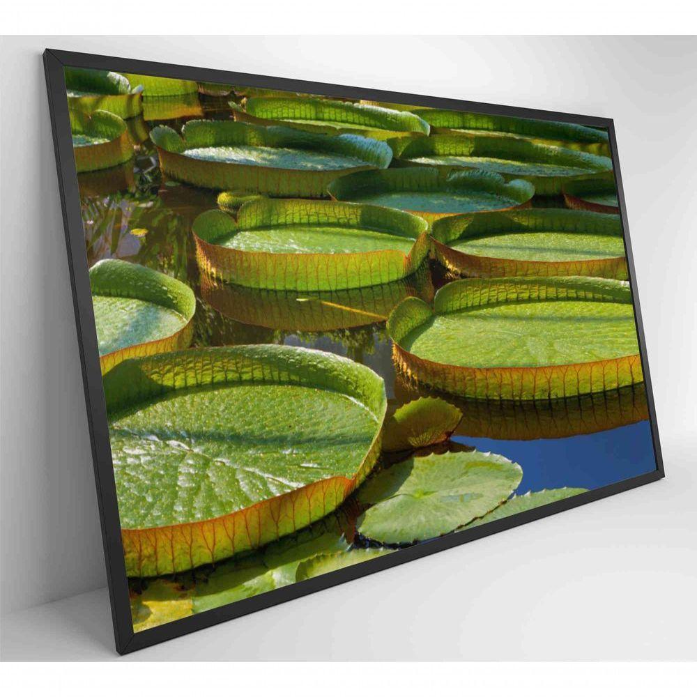 Quadro Vitória Regia Amazônia 120x80 Cm Tecido Canvas - 7