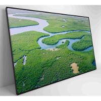 Quadro Rios E Floresta Amazônia 60x40 Cm Vidro Impresso - 5