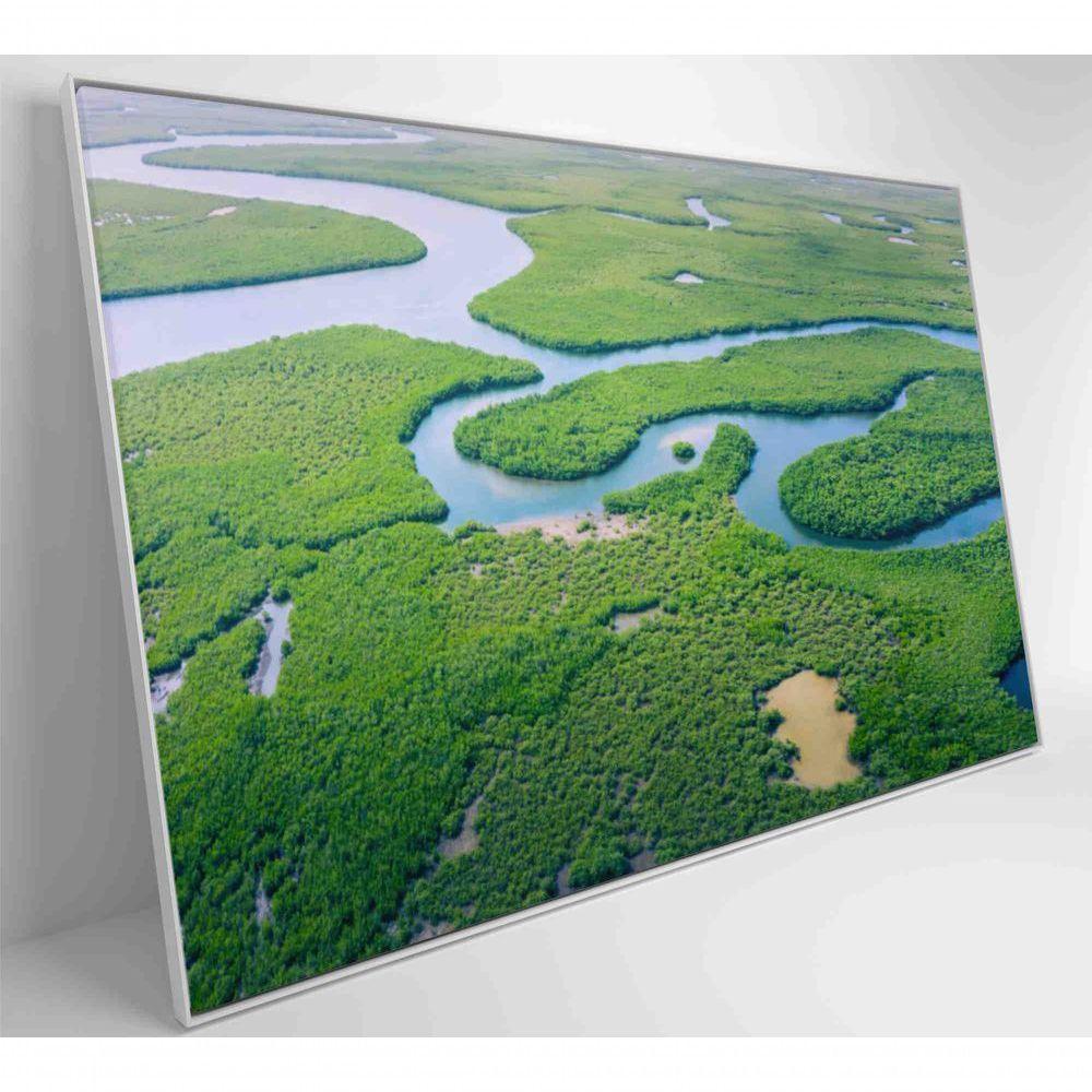 Quadro Rios E Floresta Amazônia 60x40 Cm Tecido Canvas - 6