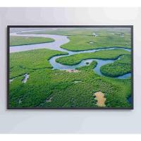 Quadro Rios E Floresta Amazônia 60x40 Cm Tecido Canvas