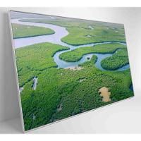Quadro Rios E Floresta Amazônia 60x40 Cm Tecido Canvas - 6
