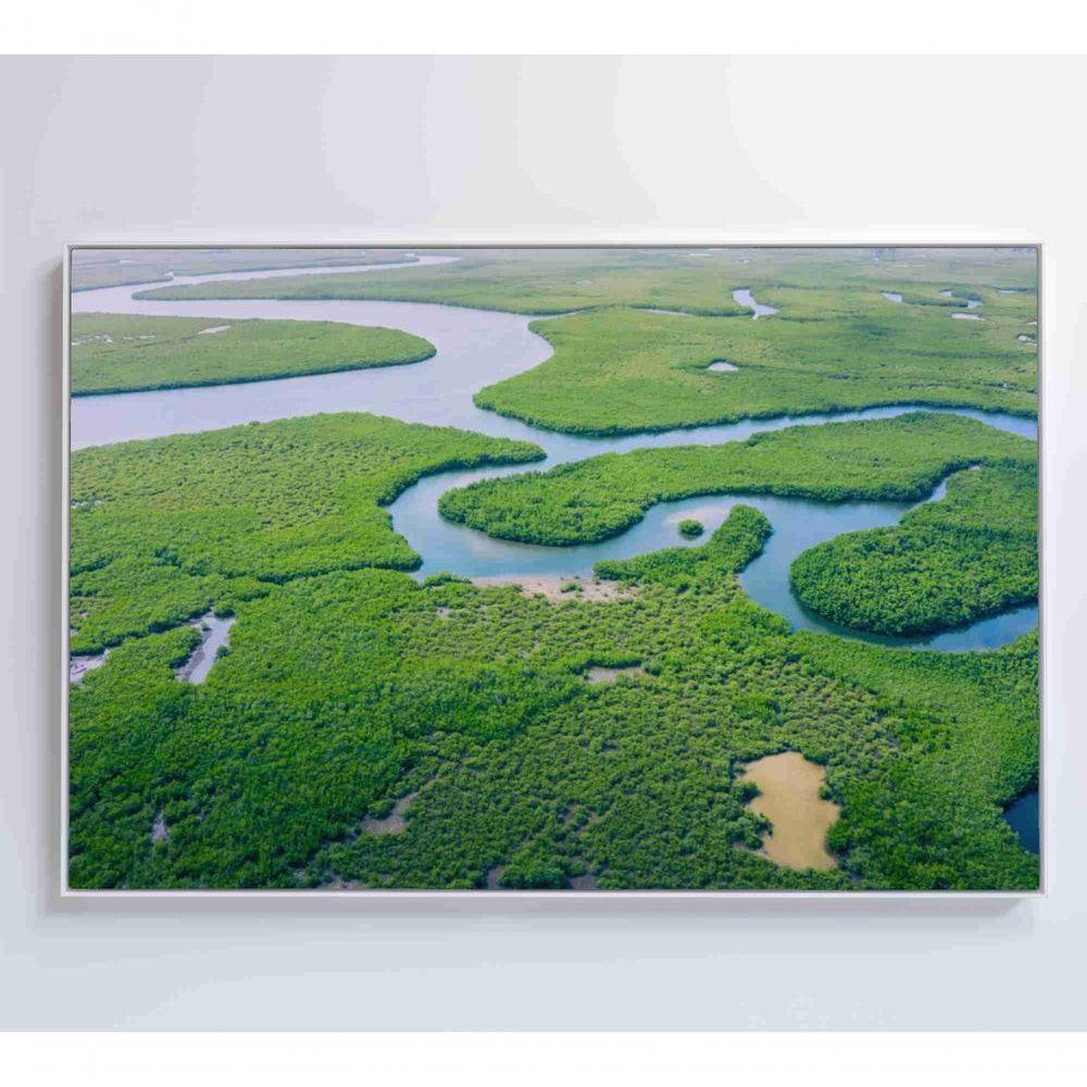 Quadro Rios E Floresta Amazônia 90x60 Cm Tecido Canvas - 3