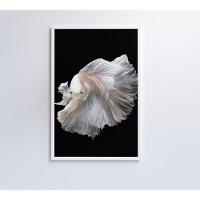 Quadro Peixe Beta Branco 80x120 Cm Tecido Canvas