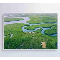 Quadro Rios E Floresta Amazônia 120x80 Cm Tecido Canvas - 3