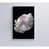 Quadro Peixe Beta Branco 80x120 Cm Vidro Impresso - 2