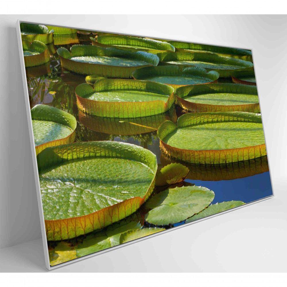 Quadro Vitória Regia Amazônia 60x40 Cm Tecido Canvas - 3