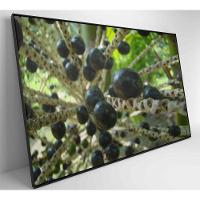 Quadro Açaí 90x60 Cm Tecido Canvas - 6
