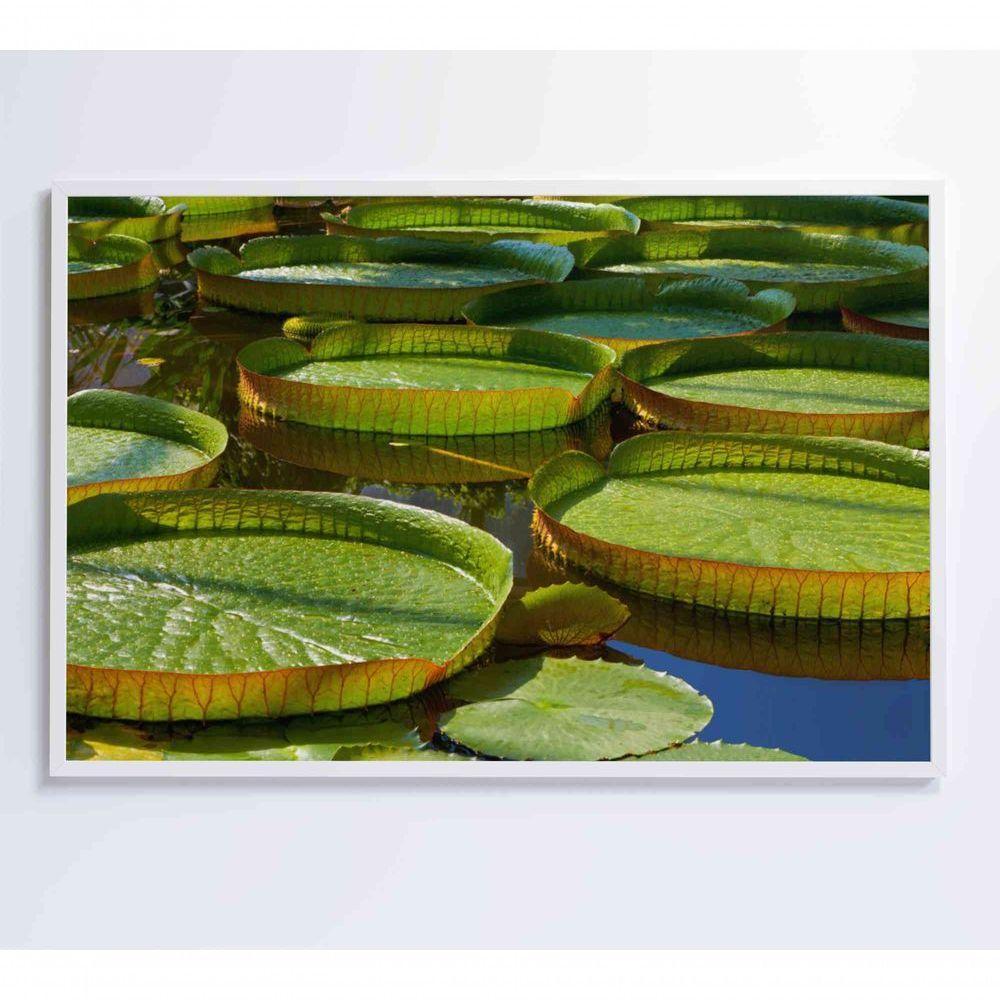 Quadro Vitória Regia Amazônia 90x60 Cm Tecido Canvas - 1