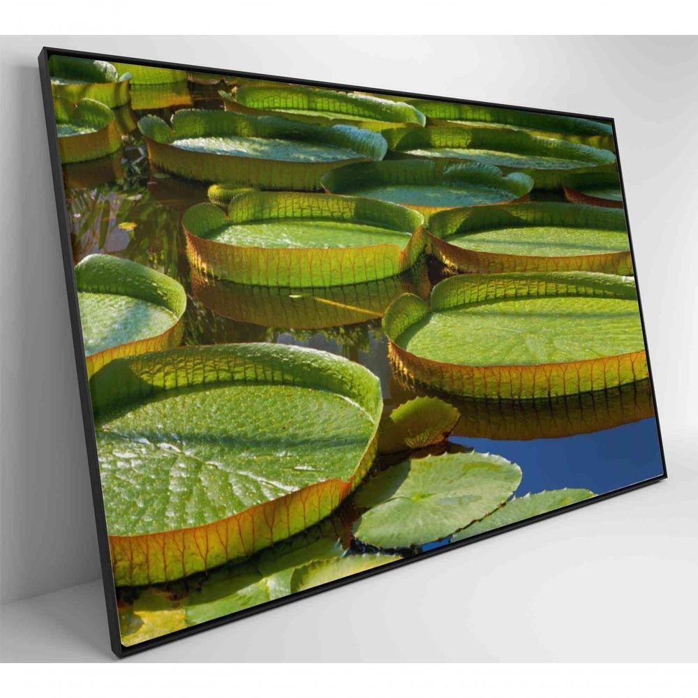 Quadro Vitória Regia Amazônia 90x60 Cm Tecido Canvas - 6