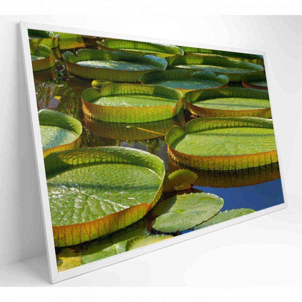 Quadro Vitória Regia Amazônia 90x60 Cm Tecido Canvas - 8