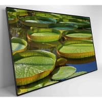 Quadro Vitória Regia Amazônia 90x60 Cm Tecido Canvas - 6