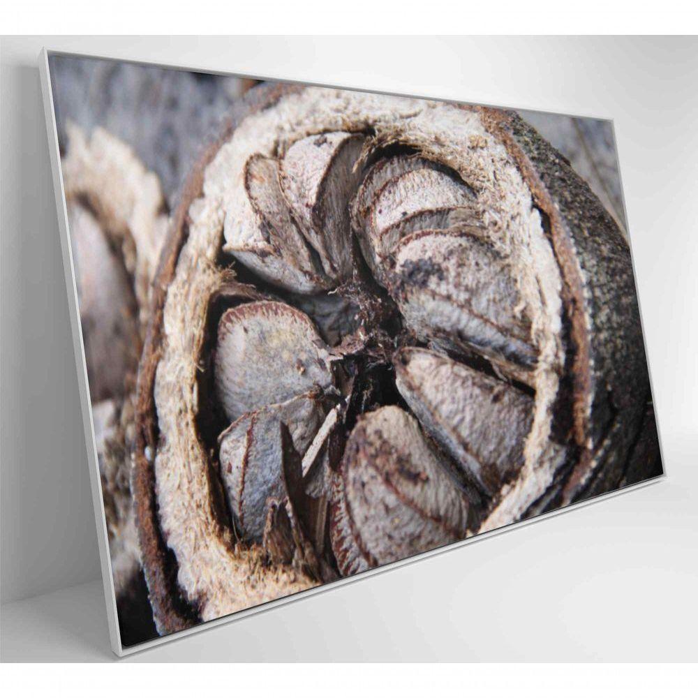 Quadro Castanha Do Pará Amazônia 60x40 Cm Tecido Canvas - 8