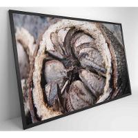 Quadro Castanha Do Pará Amazônia 60x40 Cm Tecido Canvas - 11