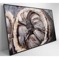 Quadro Castanha Do Pará Amazônia 60x40 Cm Tecido Canvas - 13