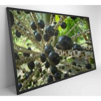 Quadro Açaí 120x80 Cm Vidro Impresso - 8