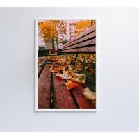 Quadro Branco Praça Outono 90x60 Cm Tecido Canvas - 3