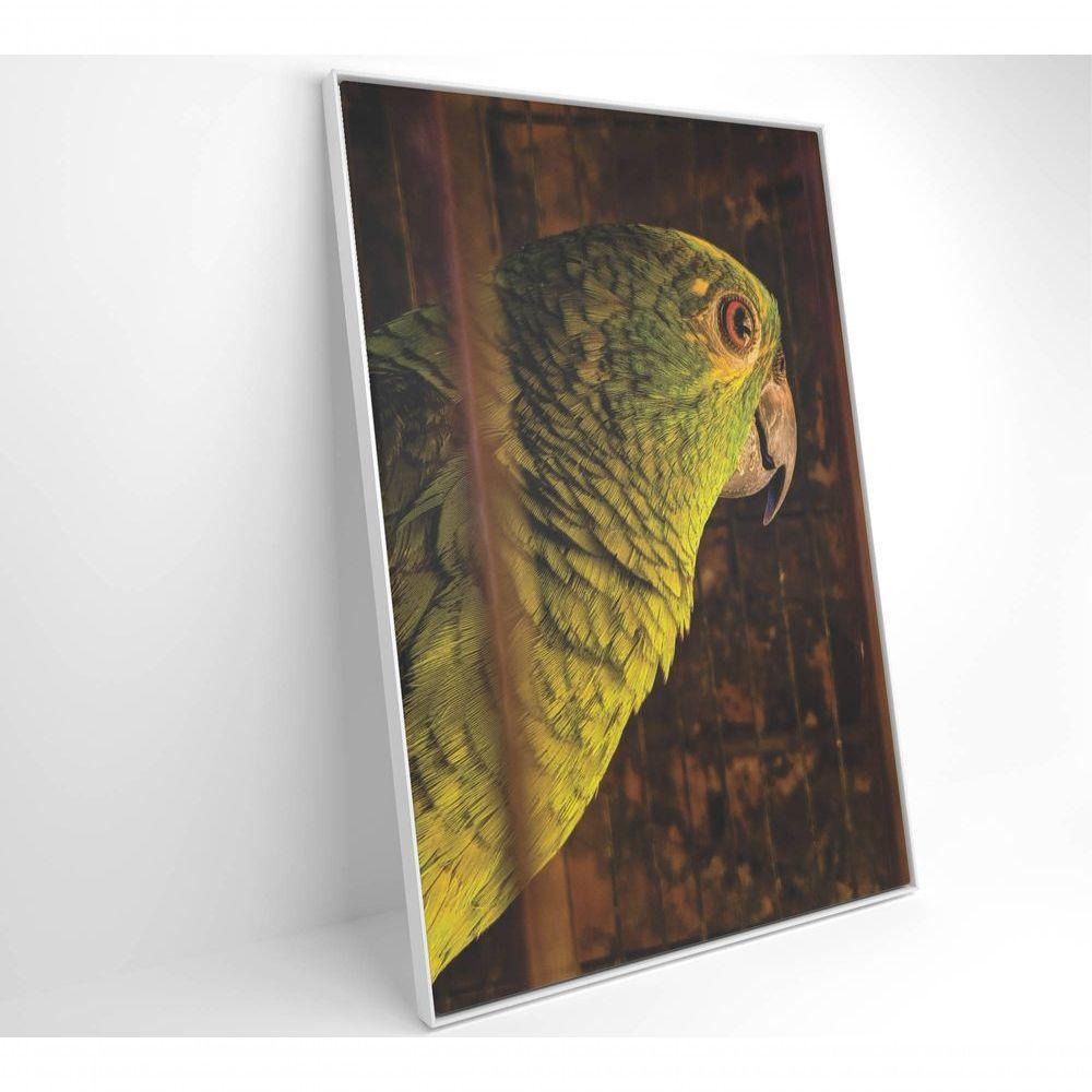 Quadro Papagaio 60x90 Cm Tecido Canvas - 8